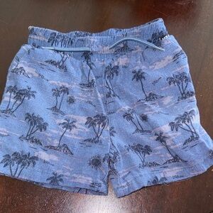 Volcom Blue Tropical Print Men's Athletic Shorts